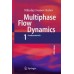 Multiphase Flow Dynamics 1